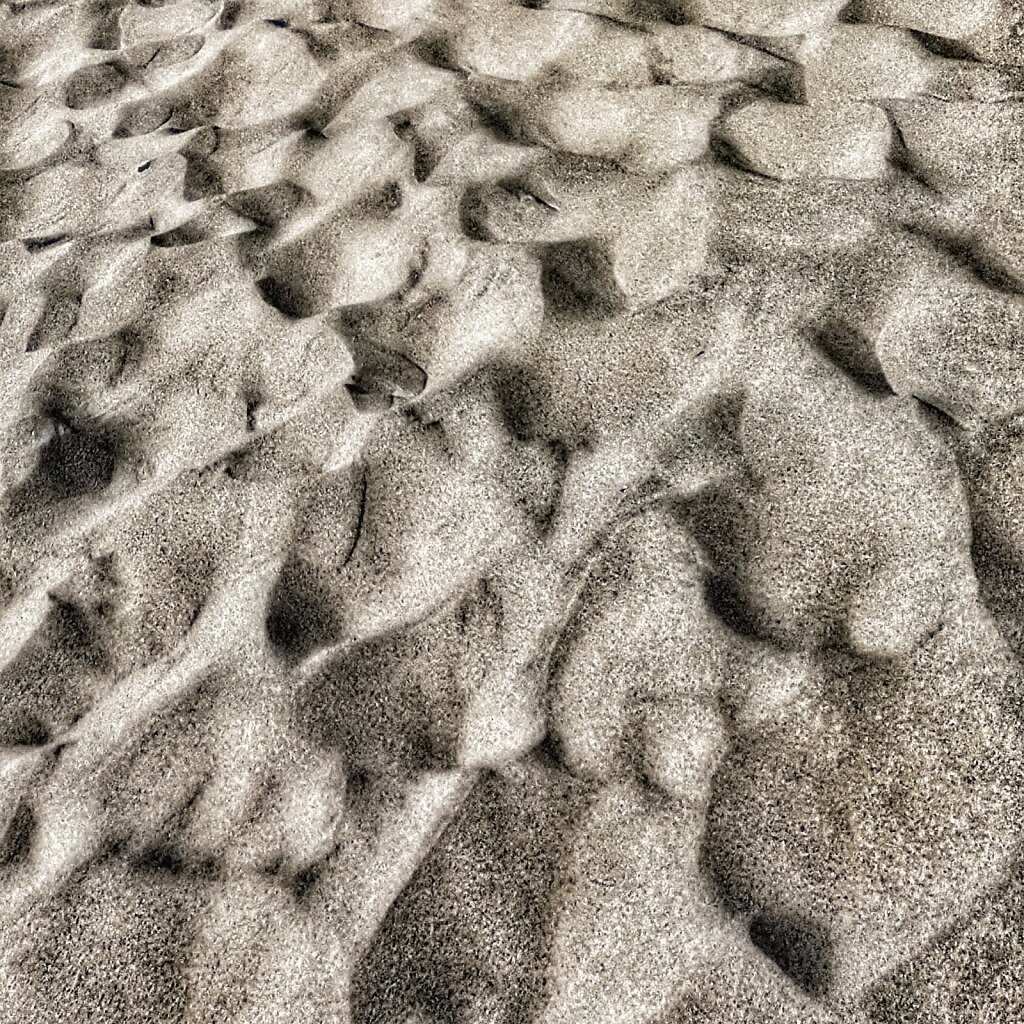 Pilat dune